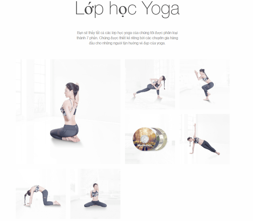 tài khoản Daily Yoga Pro 3